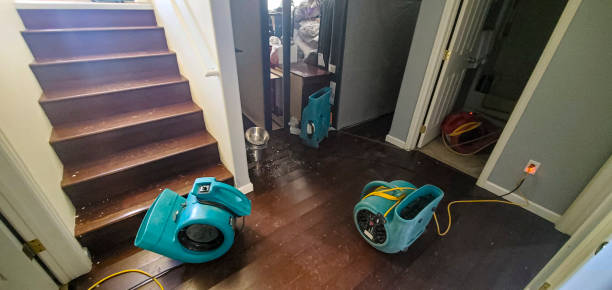 Best Water damage restoration near me  in Sawyerwood, OH